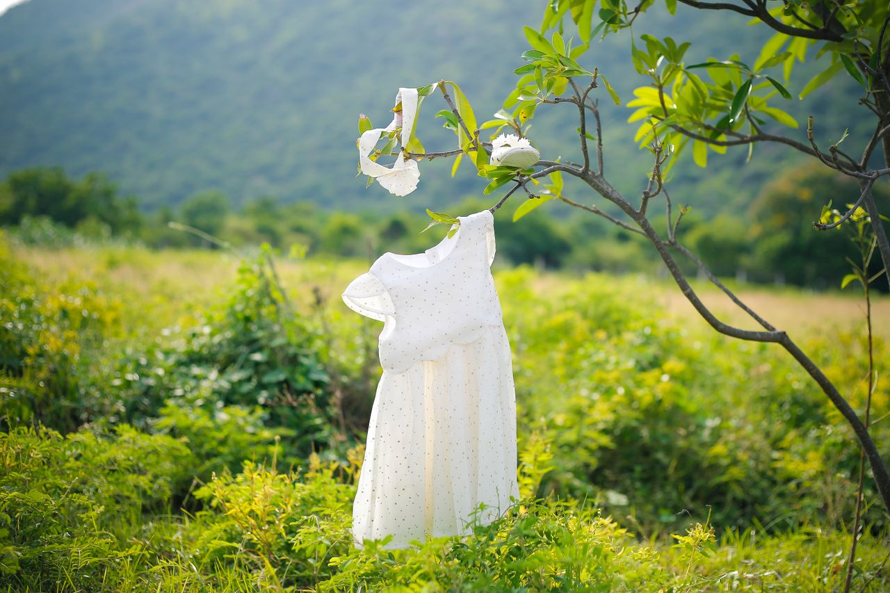 Services A white baby dress hanging on a tree branch in a lush outdoor setting.